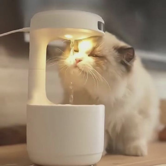 800ML Gravity Humidifier & Diffuser with LED Display